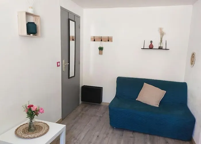 Studio Avignon Intra Muros Full Equipee R+1